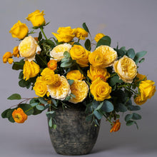 Yellow Bright Long Stem Roses (Exclusive)
