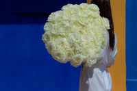 White Pure long stem white roses by Rose Farmers