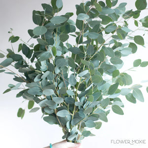 Groupon Lilies + Roses with Eucalyptus