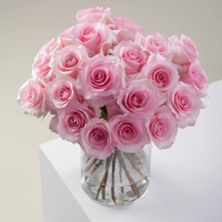 Pink Passion long stem light pink roses by Rose Farmers