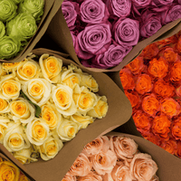 Farmer's Choice assorted-color long stem roses by Rose Farmers
