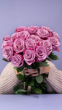 Six Months of Roses