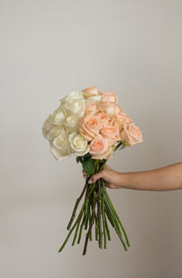 Farmer's Choice assorted-color long stem roses by Rose Farmers