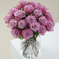 Magenta and lavender bi-color Stunner long stem roses by Rose Farmers