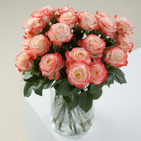 Farmer's Choice bi-color pastel long stem roses by Rose Farmers