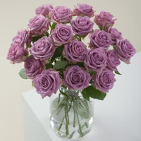 Purple Attraction long stem purple roses by Rose Farmers