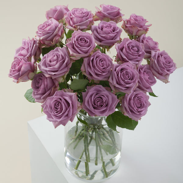 Purple Attraction Long Stem Roses