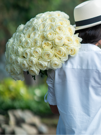 White Pure long stem white roses by Rose Farmers