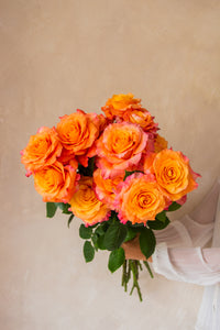 Farmer's Choice bi-color pastel long stem roses by Rose Farmers