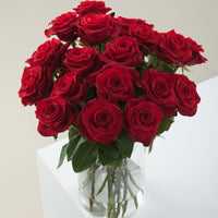 Red Romantic long stem red roses by Rose Farmers