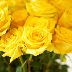 Valentines Day Farmer's Choice Roses