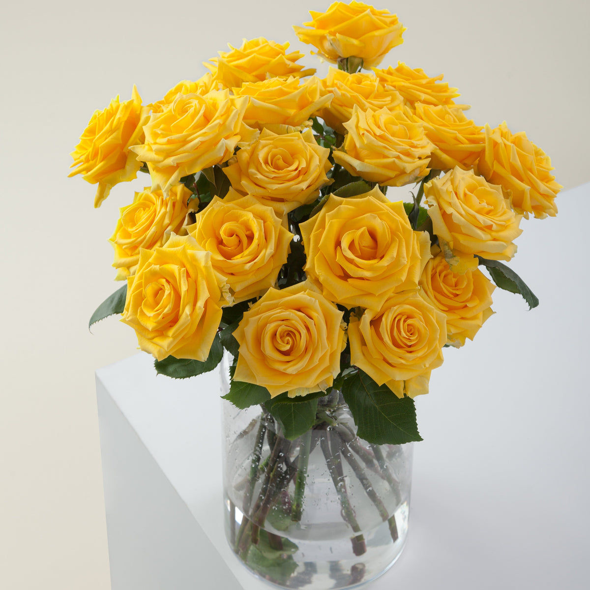 Yellow Bright long stem yellow roses by Rose Farmers