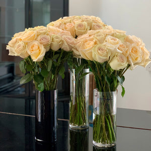 Dev Roses
