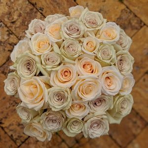 Dev Roses
