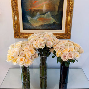 Dev Roses