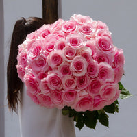 Pink Passion long stem light pink roses by Rose Farmers