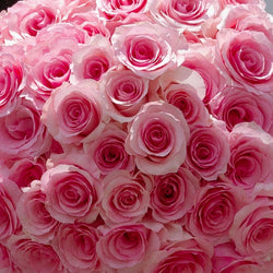 Pink Passion Long Stem Roses (Add-On)
