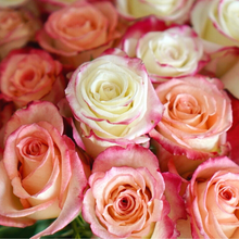 Farmer's Choice 24 Roses (Exclusive Bouquet)
