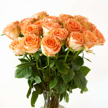 Load image into Gallery viewer, Rose Farmers $40 Voucher
