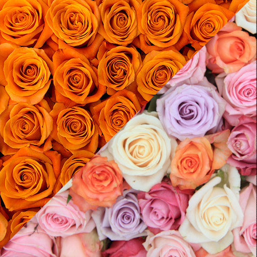 Orange and Farmers Choice Roses