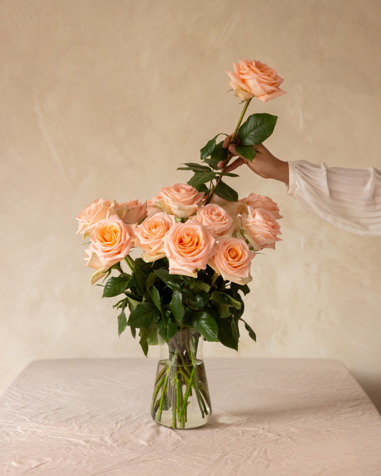 A single peach rose lifted from a vase against a plaster wall
