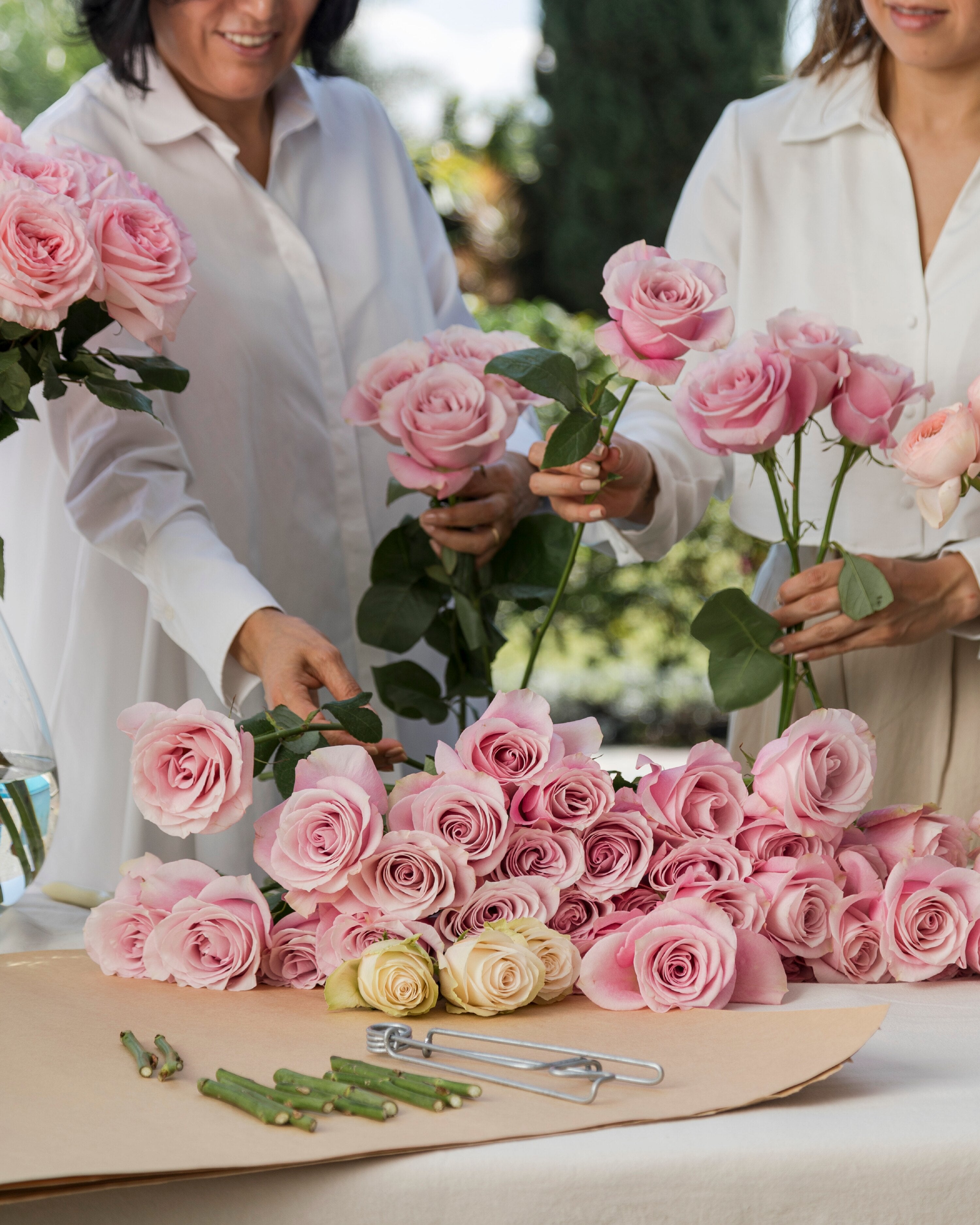 Hands arranging pink long-stem roses