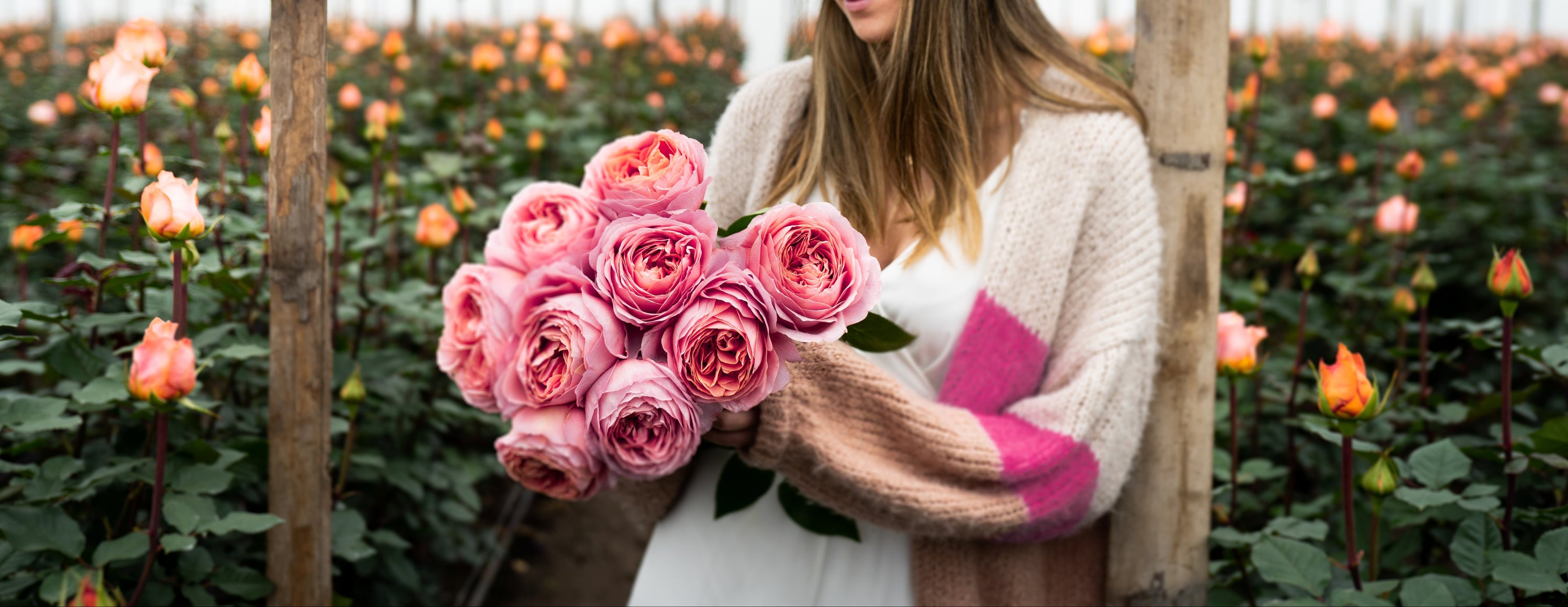 Romantic rose lifestyle arrangement